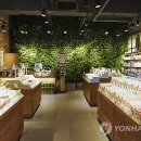 네이처리퍼블릭명동유네스코 이미지