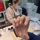 로틸리아 이미지