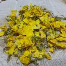 깍꼬뽁꼬 이미지