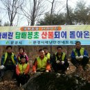 문경안실련 산불조심캠페인 행사열려 이미지