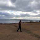 올레목장 이미지