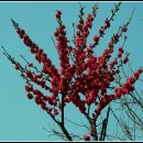 까치울역 2번 출구 이미지