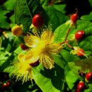 꽃보다아름다운당신 이미지