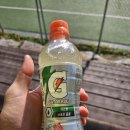 응봉체육공원 이미지