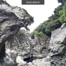 라이프올