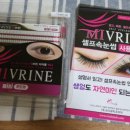 신디코리아 이미지