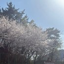 포티조 이미지