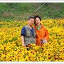 김*성 - 안양시 만안구 능곡로 36 | 김*성