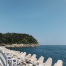 오동도 이미지