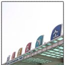 졸드루야영장 위 | 24. 평창 두룬산방 오토캠핑장 [ 2009.3.21 ~ 3.23 ]