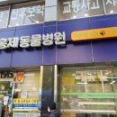 홍제동물병원 이미지