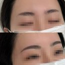 팽브로우 이미지