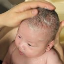 고시워시 | 이슬로베이비 신생아엉덩이클렌저 아기바디워시 사용후기
