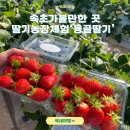 옹골농장 이미지