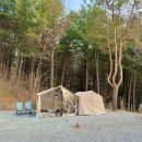 상주낚시通편의점 | 홍천 캠핑장 비발디캠핑파크 노일점