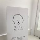 대전펫택시 이미지