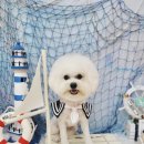 그루밍_light 이미지