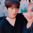 예쁜고래 이미지