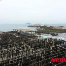 추자도