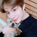 [NCT 127] 정우와 오복이 이미지