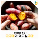 주식회사 다이스 이미지