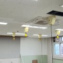 환일고등학교 이미지