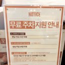 큐사랑광주전남지사 | 광주 브런치 맛집 카멜오르조, 맥문동 마지막 여정이 만든 이탈리안 다이닝