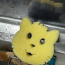 마미캣 | 스크럽대디 스크럽마미 스페셜쉐입 고양이 모양 (캣쉐입) 후기