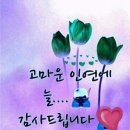 서원구청 대회의실 이미지