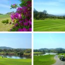 캐슬렉스제주(회원제18홀) 네이버블로그