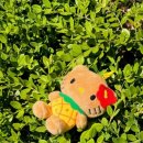 잠실123한의원 이미지