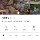 기원농장 | [광양 맛집-기원농장] 닭구이 굽고, 계곡물에 풍덩! 여름의 완성!
