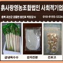 웰힐링협동조합 이미지