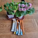 아리위드 이미지