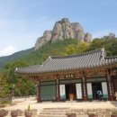 9회말쉼터