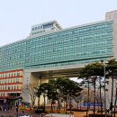 홍대부속초교 이미지