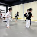 최강태권도 이미지