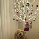 하우스파트너스 주식회사 이미지