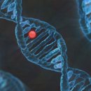 민플란트치과의원 이미지