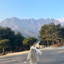 겨울 포인트 아이템 민씨오 팔레트 니트 머플러 화이트 겨울선물추천
