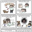 동탄동물병원 이미지