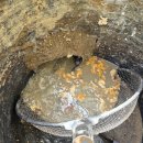 합성동350 이미지