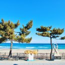 정동진역 이미지