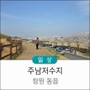 동읍101 | 창원 동읍 벚꽃 가득했던 주남저수지 대구 신세계 팝업 스웰리버터떡 팝업 후기