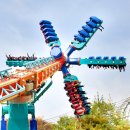 효가1로-L | 에버랜드_용인 | 실외 데이트