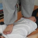 활법바른자세교정운동원