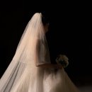 신경우 | 다산 파로스 컨벤션 아이폰스냅 본식 촬영 후기