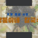 장성종합시장 이미지