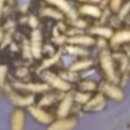 (주)퍼스트코 이미지