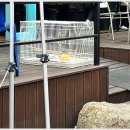 속초오징어어시장 안산고잔점 이미지